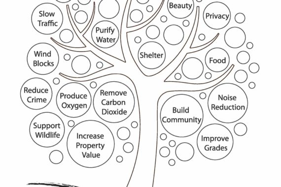 value of trees coloring page scaled 1