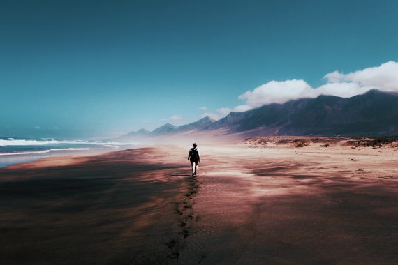 pexels tom swinnen 934718