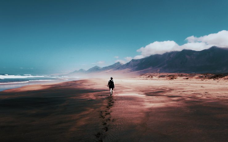pexels tom swinnen 934718