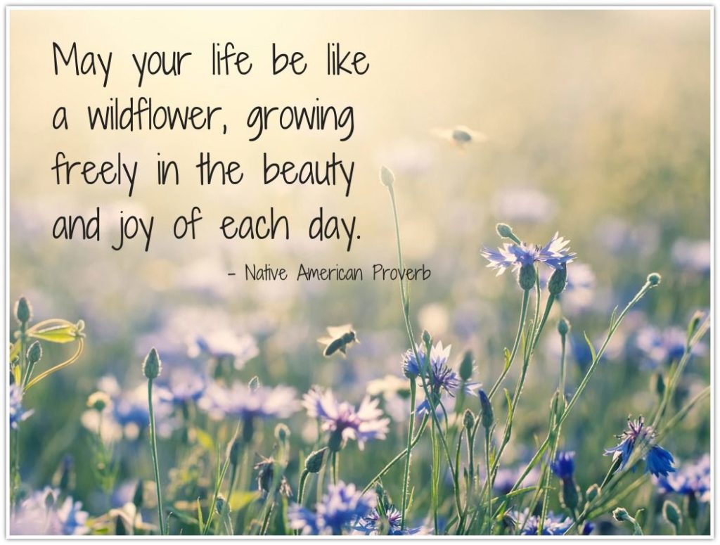 may your life be like a wildflower