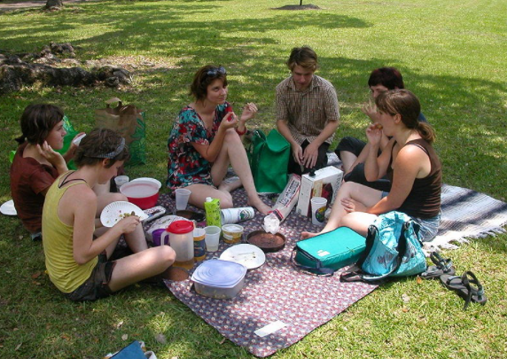 friends picnic in park