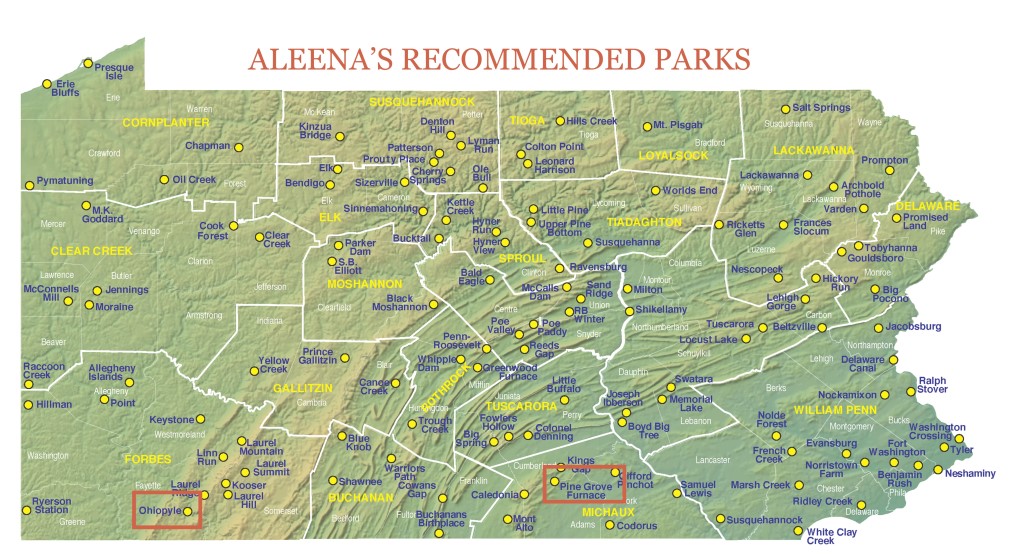 aleena park choices