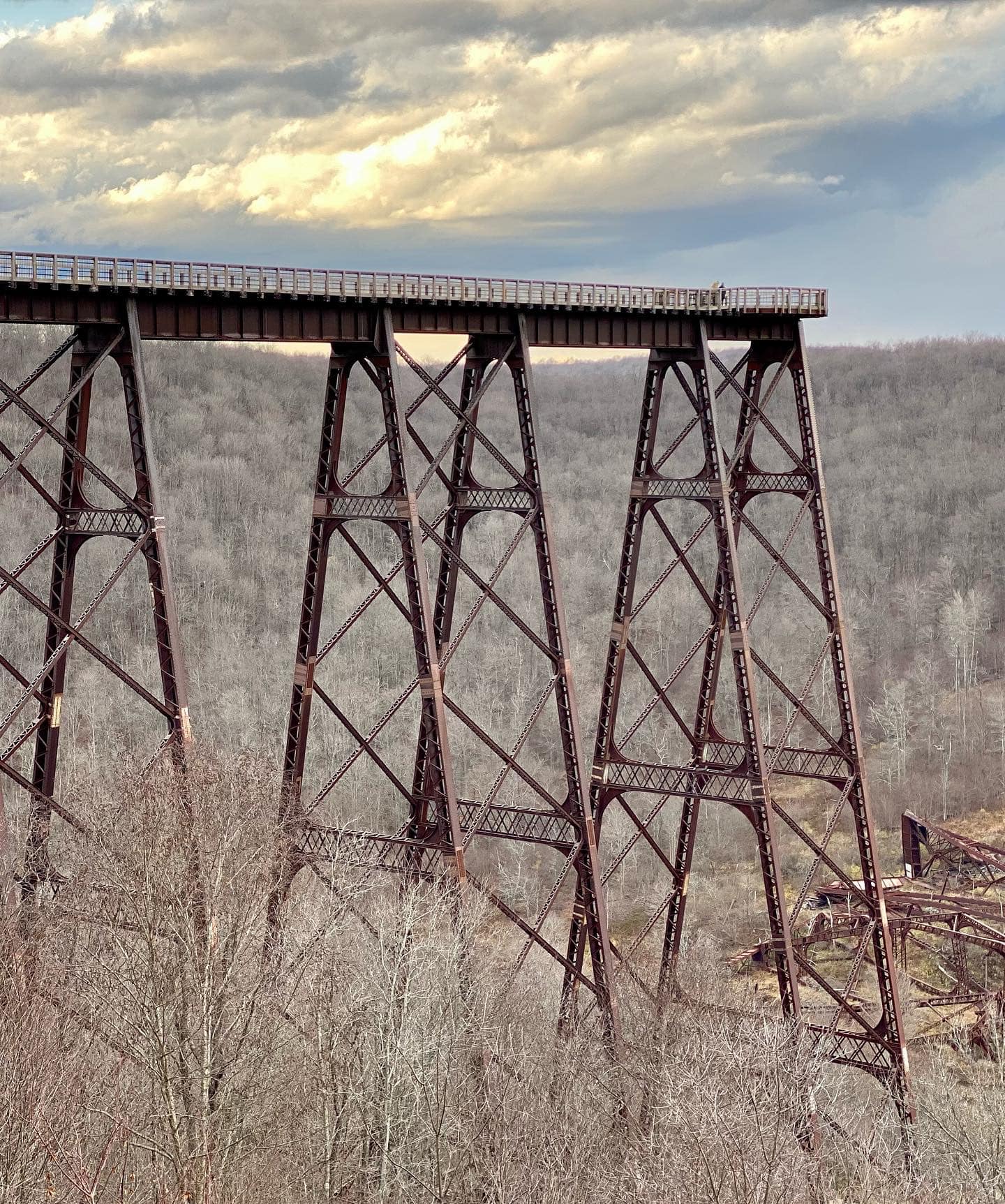 20211117 cheryl bernstiel bridge int he snow