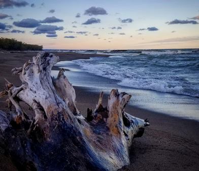 pure water sabrina hilpert presque isle 1