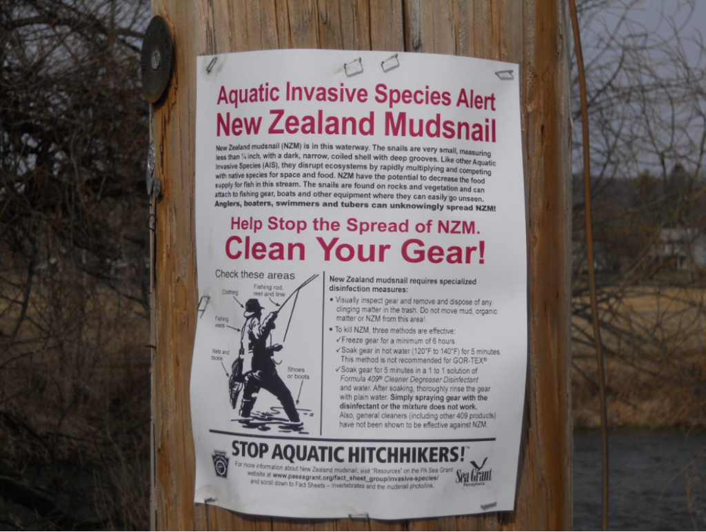 Prevent the Spread Poster for the New Zealand mudsnail