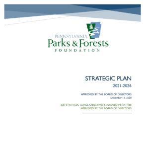 strategic plan with dei strategies cover