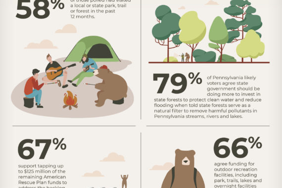 SupportInvestments Infographic