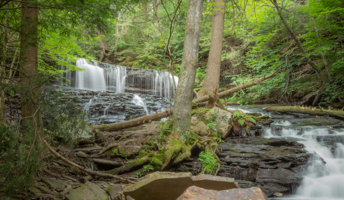 Photo by Lear Robertson, Ricket's Glen State Park