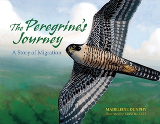peregrine journey