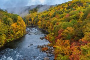 clarekaczmarek.scenicvalue.ohiopyle resize clarekaczmarek.scenicvalue.ohiopyle resize