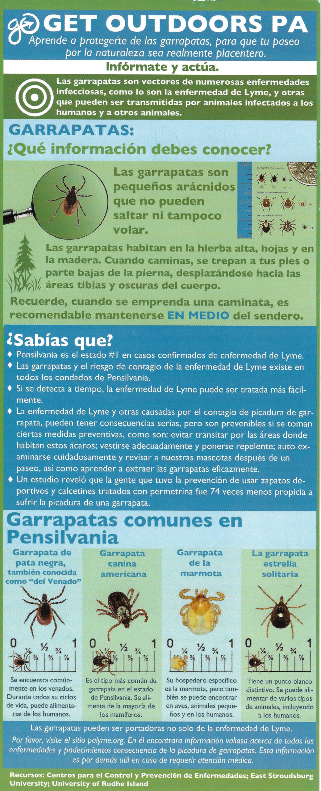 lyme disease card spanish front
