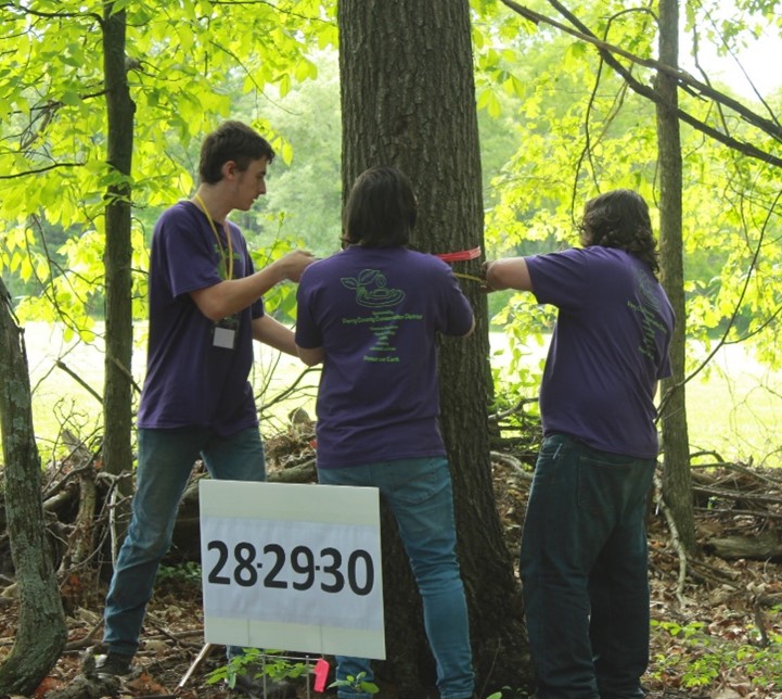 Students work on the forestry component at the state Envirothon competition.