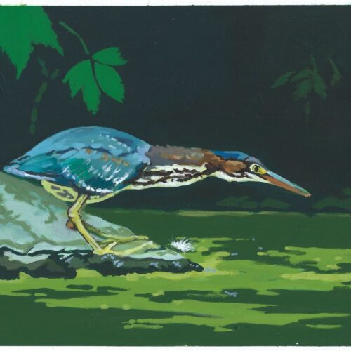 04 green heron