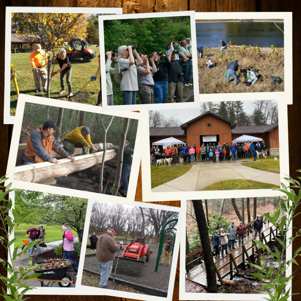 Friends and Volunteers Collage