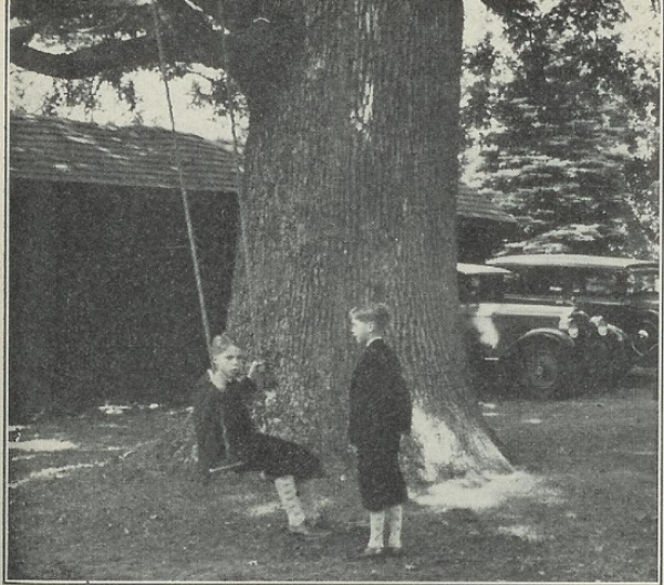 And old newspaper clipping shows two young boys from early 1900s swinging on a swing hung from the old oak tree.