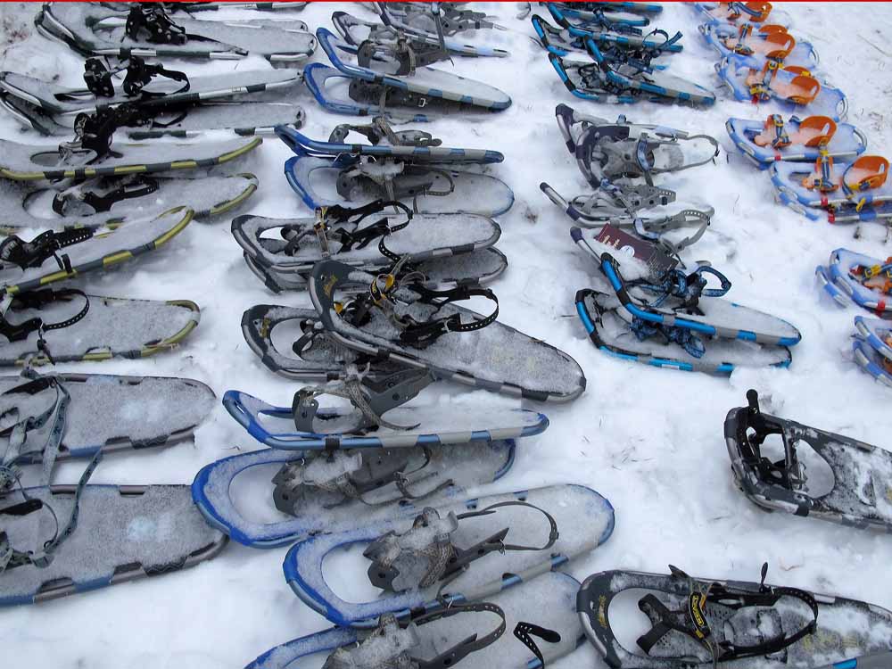 Snowshoes with various color bindings laid out and ready for use in the snow
