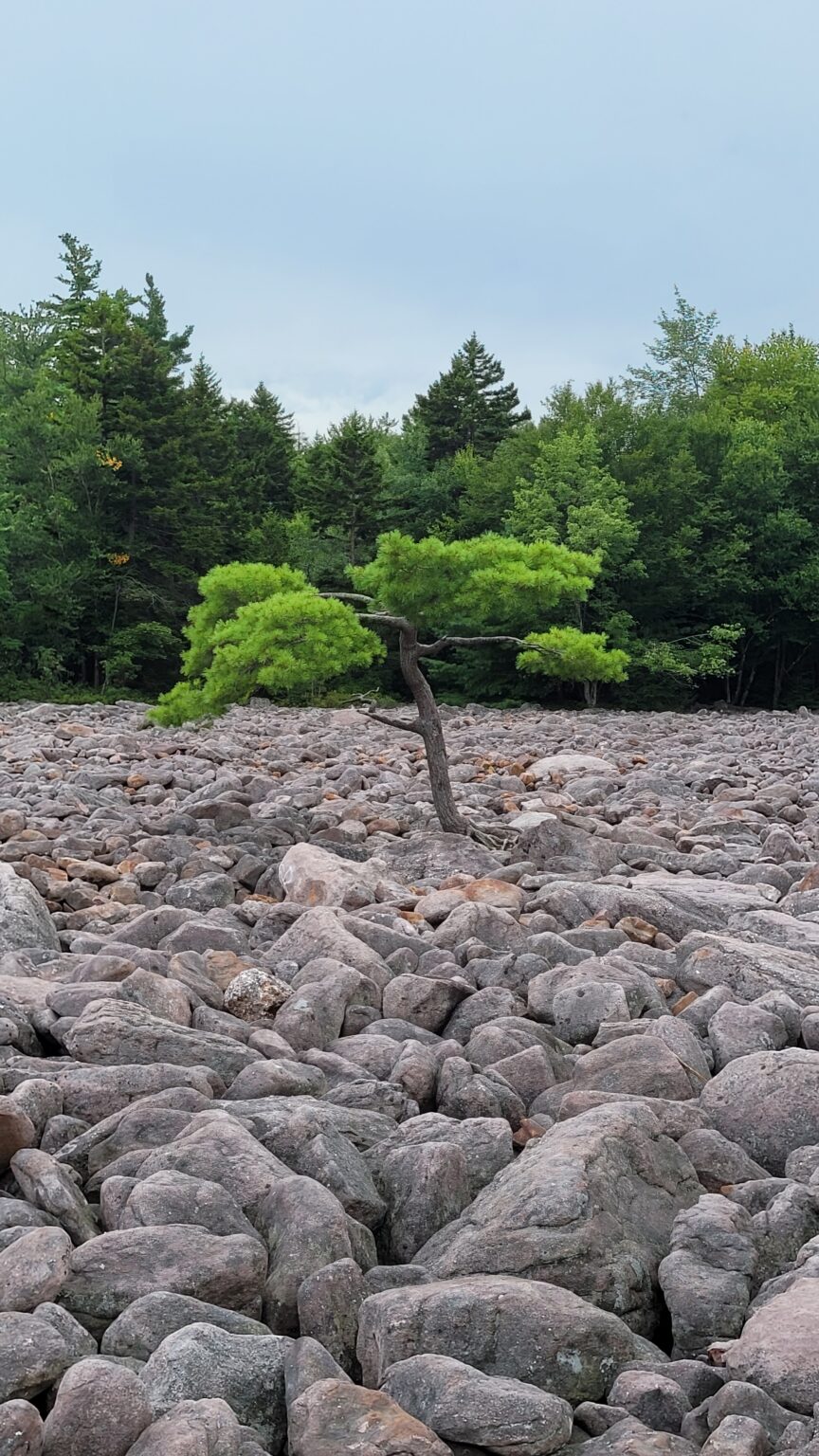 Cool Geologic Features Found in PA State Parks | Pennsylvania Parks and ...