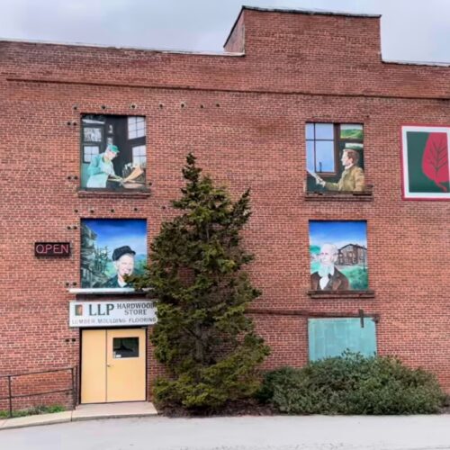 lewis lumber building
