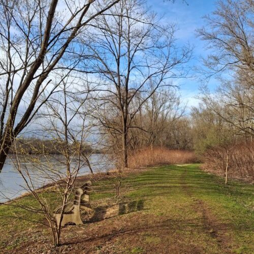 milton state park springing green