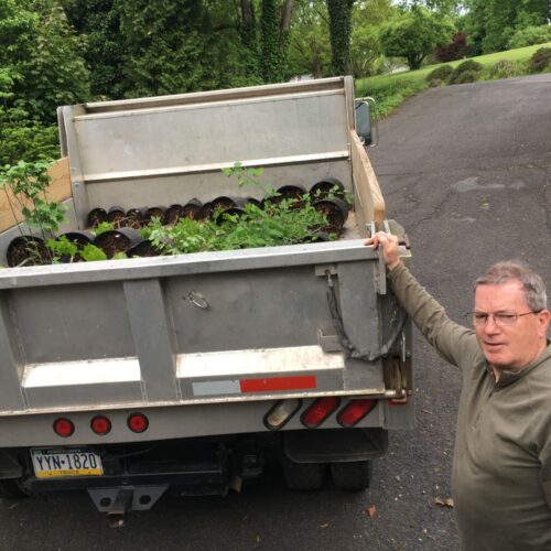 paul yost let's plant