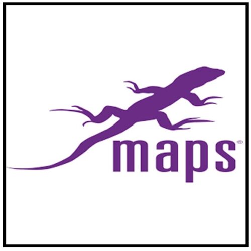 purple lizard maps