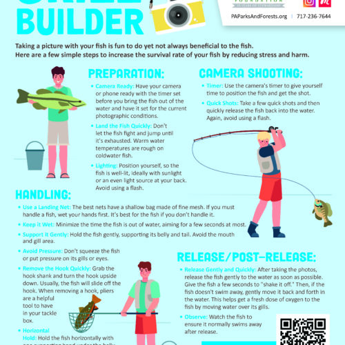 safe fish photography