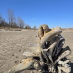Exploring Presque Isle and Erie Bluffs State Parks with Matt Greene Think Outside with Marci Mowery2