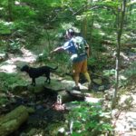Inside Pennsylvania’s State Parks A Conversation with John Hallas Think Outside with Marci Mowery 1