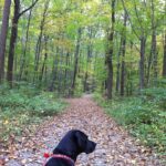 Inside Pennsylvania’s State Parks A Conversation with John Hallas Think Outside with Marci Mowery 2
