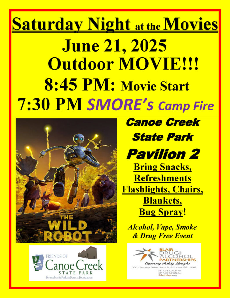 wild robot movie poster