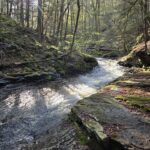 Exploring Words End State Park with Educator Jane Swift Pennsylvania Parks and Forests Foundation3
