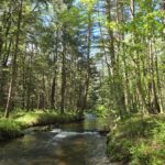 Seasons, Springs, and Stewardship at RB Winter with Manager Michael Crowley Pennsylvania Parks and Forests Foundation2