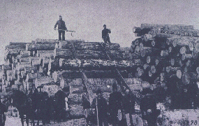 1800s Logging Pile 1800s Logging Pile