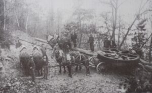 TiogaHistory Tiogahistory