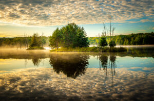 davidwoodring.reflections.moshannon