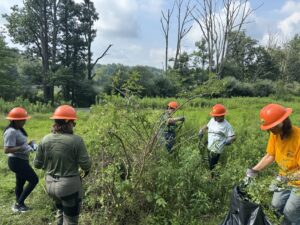 2025 11 Highland Trails Blog from Madison DeGerolamo Perkiomen Trail July 31 2025 Volunteer Event 5