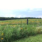 Experience Jacobsburg History, Nature, and Community with Rob Neitz Think Outside Pennsylvania Podcast3