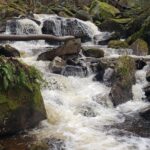 Exploring the Bureau of Forestry with Director Seth Cassell Think Outside Pennsylvania Parks and Forests Foundation7