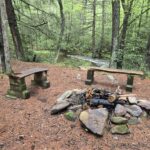 Exploring the Bureau of Forestry with Director Seth Cassell Think Outside Pennsylvania Parks and Forests Foundation9