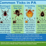 Screenshot 2026 03 23 151937