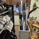 Getting to Know Black Moshannon State Park with Park Manager Mathias Weinzen Pennsylvania Parks and Forests Think Outside12