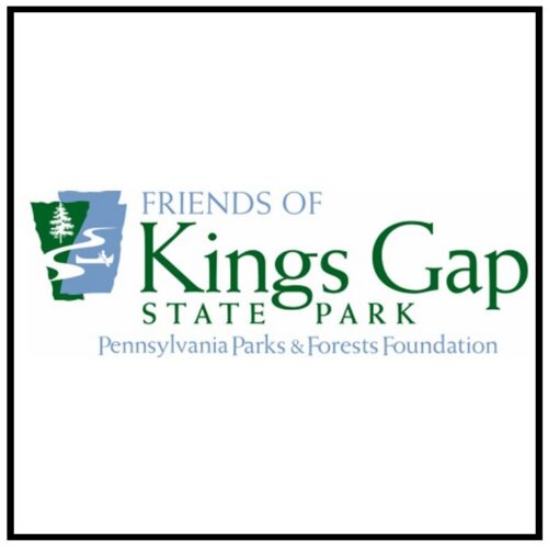 friends of kings gap