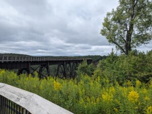 230830 goldenrod at kinzua Braund