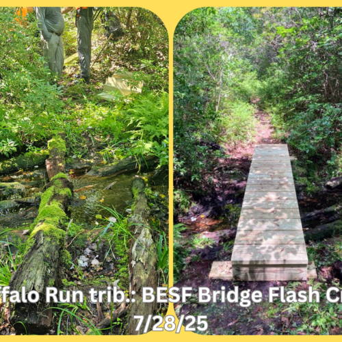 Buffalo Run trib BESF Bridge Flash Crew 7 28 25