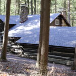 Exploring Buchanan State Forest with Karli Naugle - Think Outside Pennsylvania Parks and Forests Foundation11