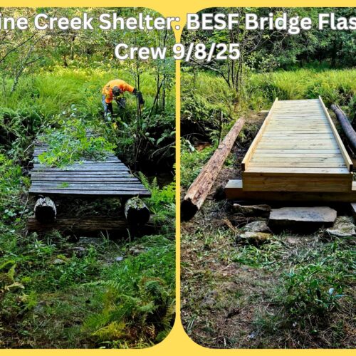 MST Pine Creek Bridge 9825