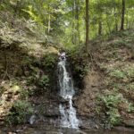 Exploring Buchanan State Forest with Karli Naugle - Think Outside Pennsylvania Parks and Forests Foundation6