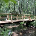 Exploring Buchanan State Forest with Karli Naugle - Think Outside Pennsylvania Parks and Forests Foundation1