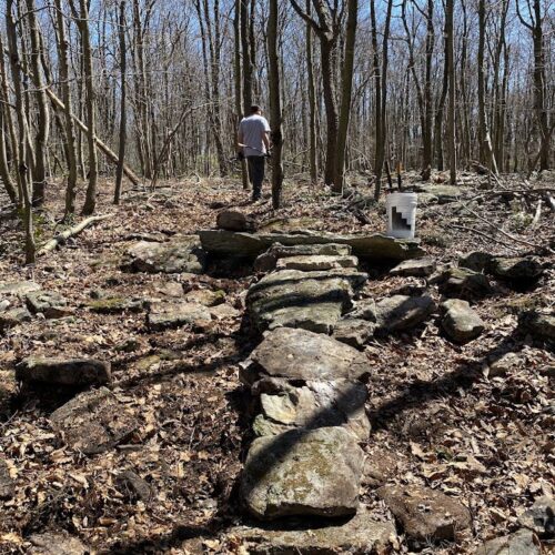 zimmerman rock trail for a challenging ride