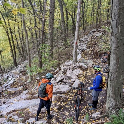 zimmerman rugged terrain for trails